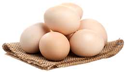 ChickCoop Fayoumi Eggs