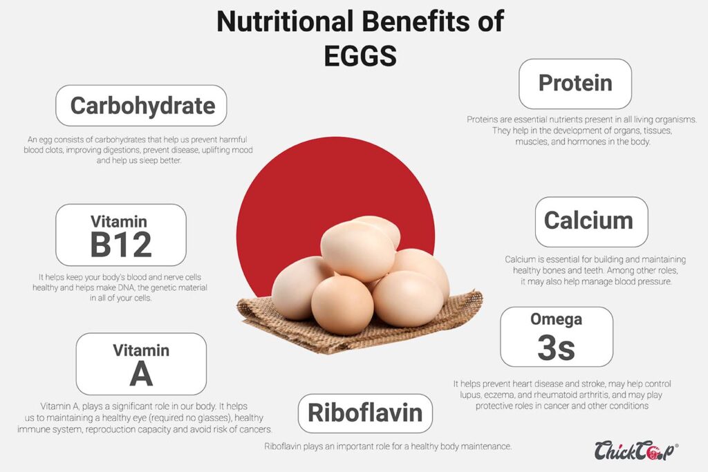 Nutritional Benefits of eating eggs