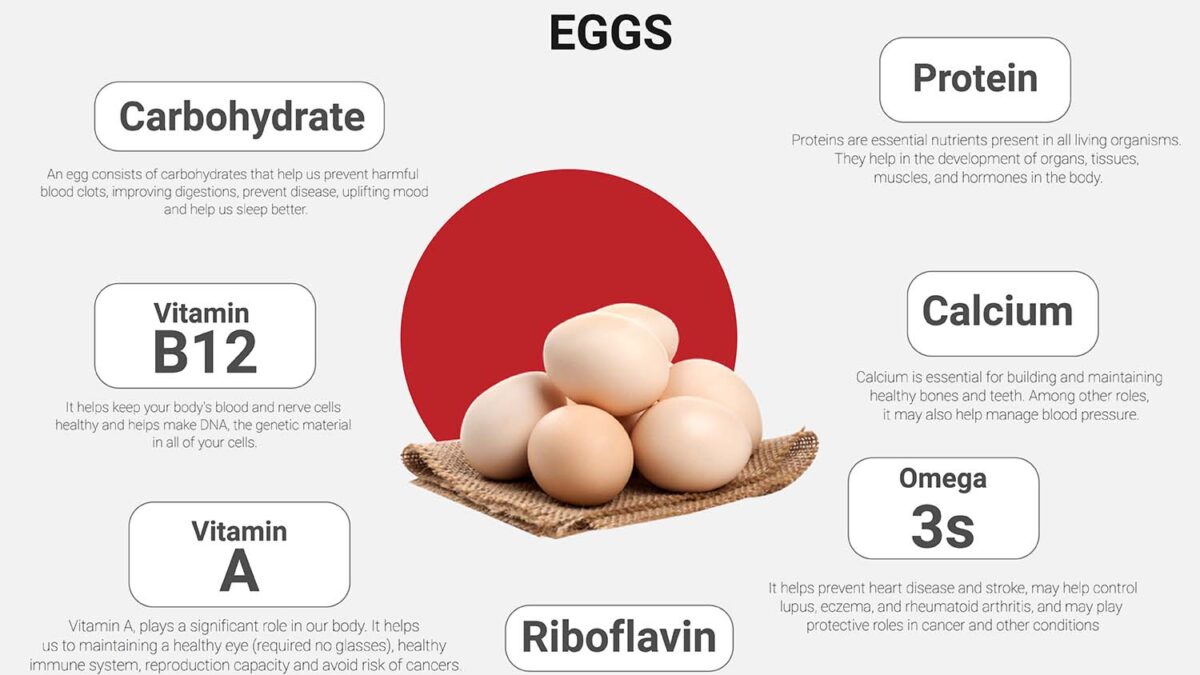 Nutritional Benefits of eating eggs