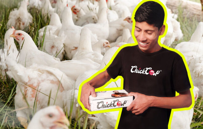 10 years experience in poultry farming