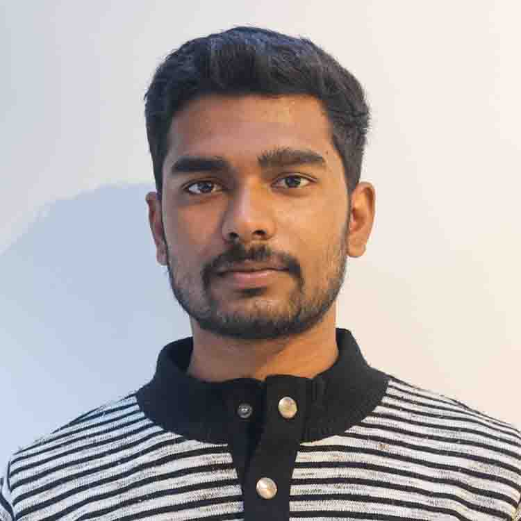Vikrant K. Roy
