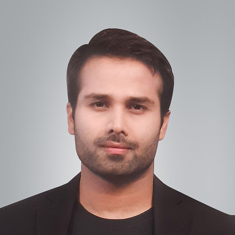Vikrant K. Roy