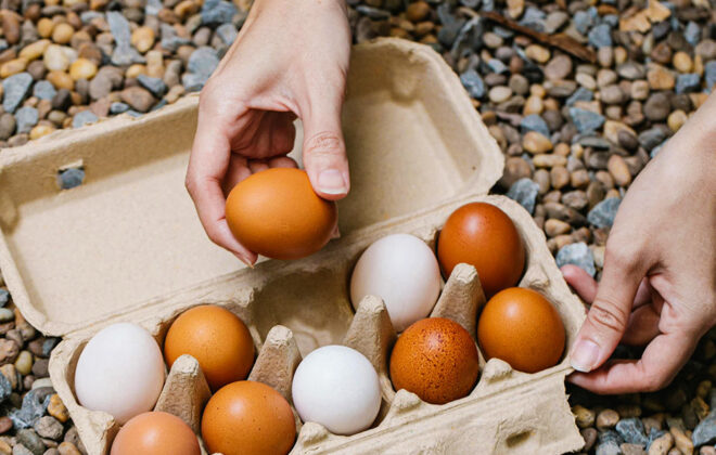 Is it safe to keep eggs in cartoon