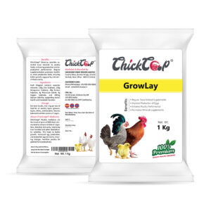 CC GrowLay-Together_ChickCoop_Medicine