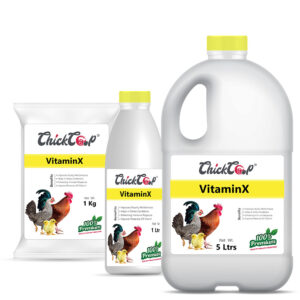 CC VitaminX