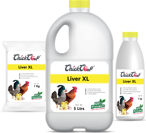 ChickCoop RIR