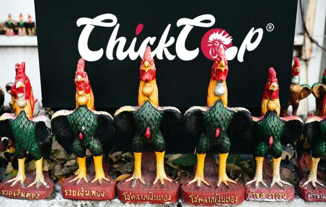 Why chicken is the most popular Bird in the world