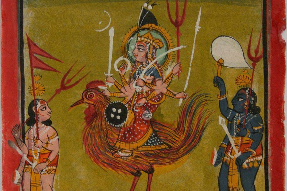 Why chicken is the most popular Bird in the world_Indian Goddess Rooster