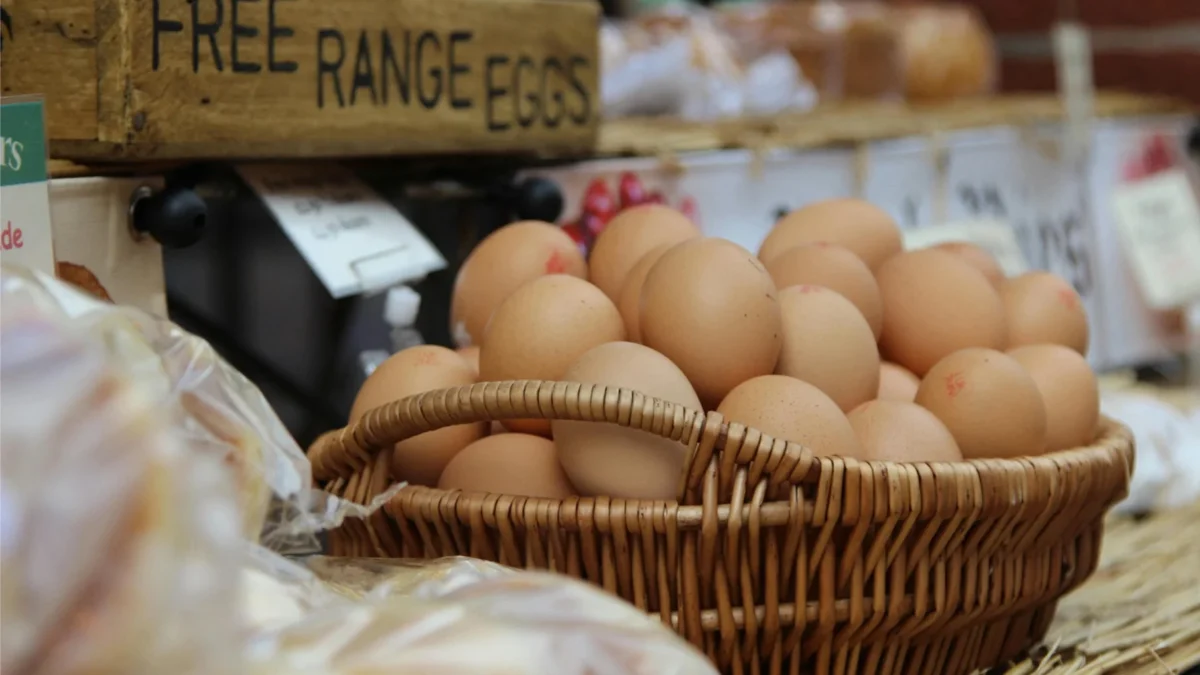 How to Keep Your Eggs Fresh and Safe