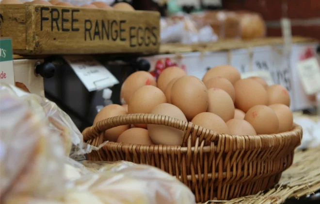 How to Keep Your Eggs Fresh and Safe