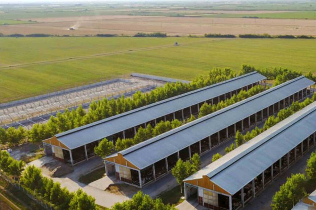 Sustainable Chicken Farming_ChickCoop