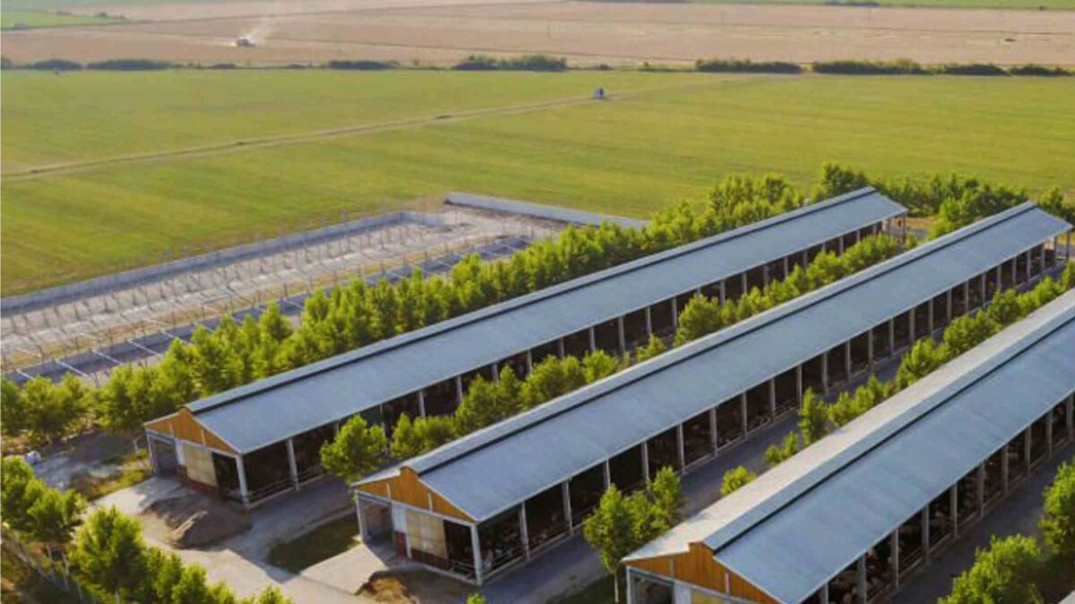 Sustainable Chicken Farming_ChickCoop