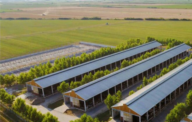 Sustainable Chicken Farming_ChickCoop