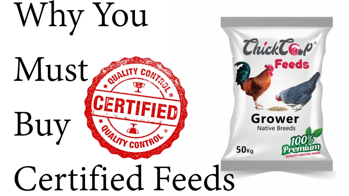 Why You Must Buy Certified Feeds